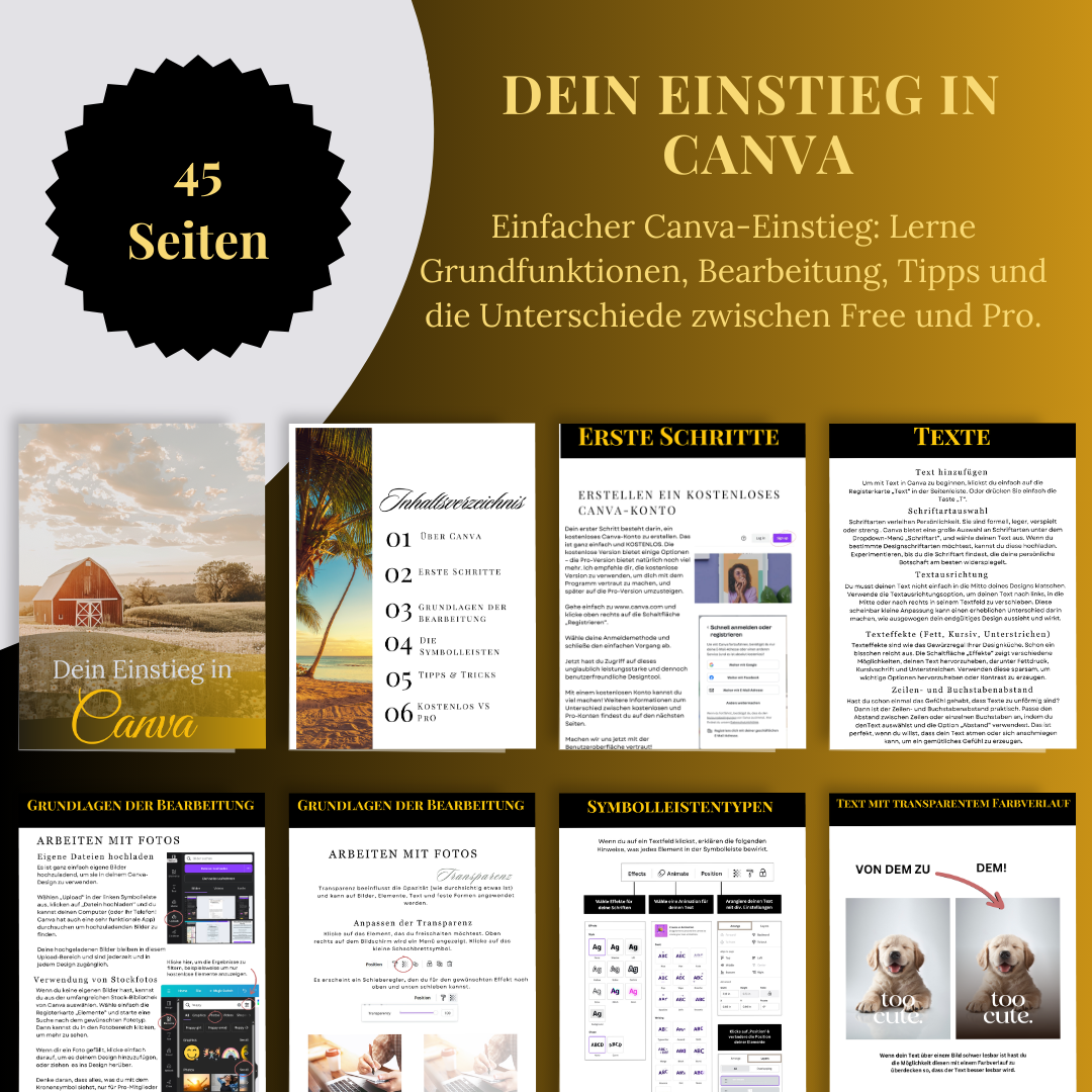 Dein Einstieg in Canva